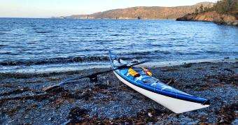 Newfoundland Sea Kayaking: Sunset Paddle in Chapel Arm
