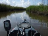 bayoufly