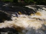Wausau Whitewater