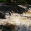 Wausau Whitewater