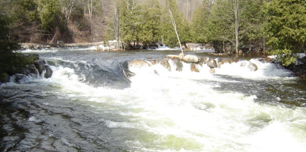 Canadian Professional Paddling Conference