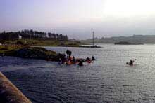 Clifden Rodeo 2005