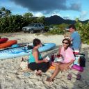 Mangrove tour