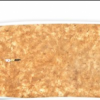 Coco Mat SUP 10&#039;0&quot; - _image-2-1346744933
