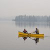 Algonquin 16 Guide Fusion - 7843_Alg1631fs_1278349062