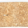 Coco Mat SUP 11&#039;0&quot; - _image-8-1346746773