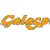 Plastic Slalom Kayak - 4194_Galasportlogo_1263369122
