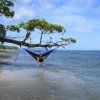 ENO Eagle Nest Outfitters - 7473_costapete_1276850419