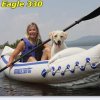SE 330 - 7276_girlanddog_1275737927