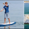SUP Air 11&#039;0 - _2_1325176350