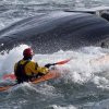 Xplore - boats_1512-4