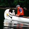 The Voyageur Fiberglass - 6565_dog_1274363786