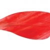 Rapture - fiberglass - 4707_red2_1263243792
