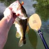 Tybee: Hooked - _tybeehooked1-1413890123