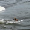 Cutback 7&#039;6 - 11763_IMG1294_1324486380