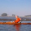Squalus - _SqualusRPF_1299761748
