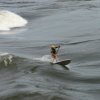 Cutback 7&#039;6 - 11763_IMG1289_1324486382