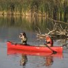 Algonquin 15 Guide Fusion - 7839_Alg1511fs_1278345779