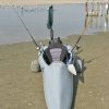Raptor - _06_1298387195