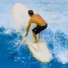 Carbon/Wood Paddle - 9918_2_1289048013