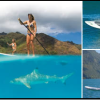 ACS SUP 11&#039;4 Wind - _8_1325005576