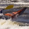 Sea Lion - _-dsc0015-0-1385659636