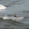 Cutback 7&#039;6 - 11763_IMG1292a_1324486383