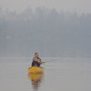 Algonquin 16 Guide Fusion - 7843_Alg1611fs_1278349061
