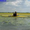 Falco 430 II Kevlar - 9591_neusiedlersee121_1286980361