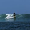 Nose Rider 10&#039;3&quot; - 14998_nr103surf1-1446446123