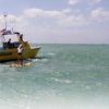 Ocean Rescue 12.0 - 8302_2_1280250900