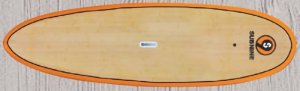 WaterSkate 9&#039; - _1_1316107978