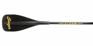Storm QuickDraw Traveler - _item-full-storm-black-blade-1404812109