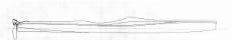 Energize - boats_1292-1