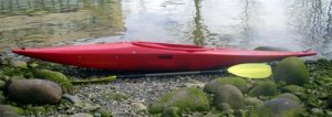 Plastic Slalom Kayak - 4194_DelsykDesignK1beachcopy_1262740854