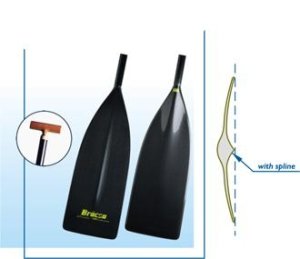 Canoe Uni2000 - 9527_bracacanoemedium_1286468556