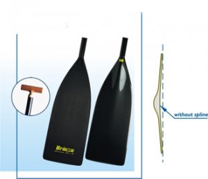 Canoe 21.5 - 9525_bracacanoe_1286465633