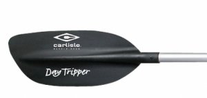 Day Tripper - _daytripper_1311856327