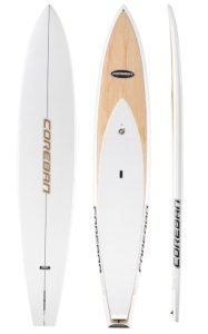 Dart 14&#039;0&quot; Sigma - _dart-1384960894